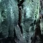 Pomo Canyon Environmental Camp