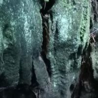 Pomo Canyon Environmental Camp ico