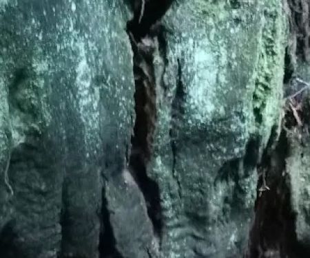 Pomo Canyon Environmental Camp