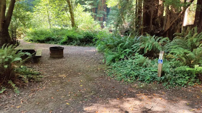 Pomo Canyon Environmental Camp Picture 7