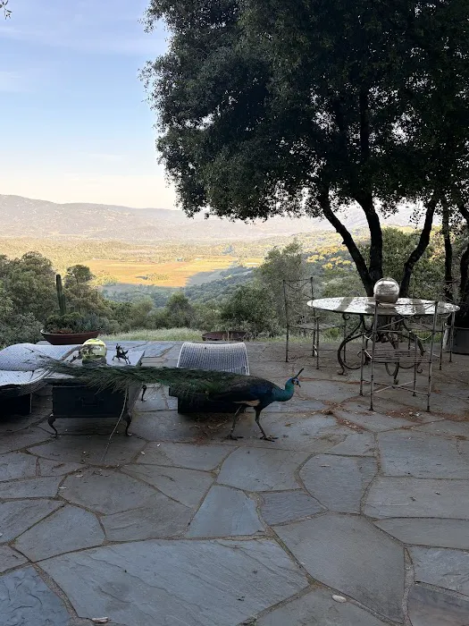 Glynraven Gardens Picture 2