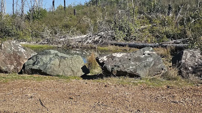 Buckhorn Campground Picture 4