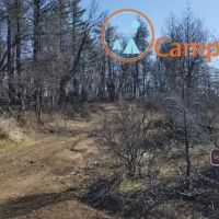 Dry Oak Camp ico