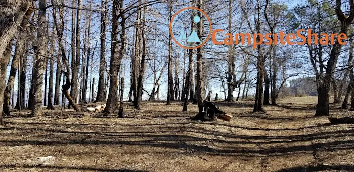 Dry Oak Camp Picture 3