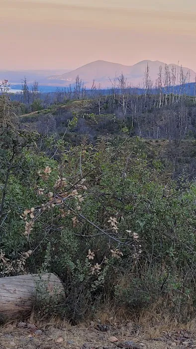 Red Mountain Campground Picture 5