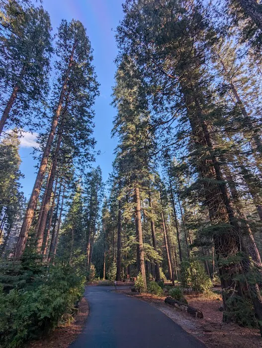 Dimond O Campground Picture 4