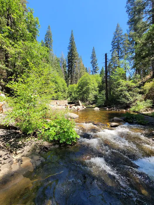 Dimond O Campground Picture 6