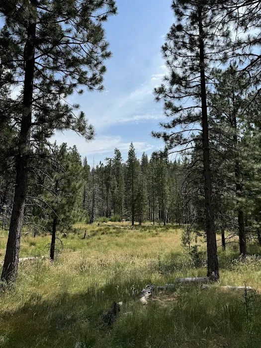 Dimond O Campground Picture 1