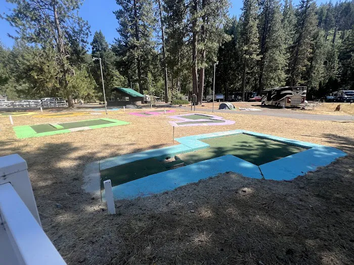 Thousand Trails Yosemite Lakes Picture 1