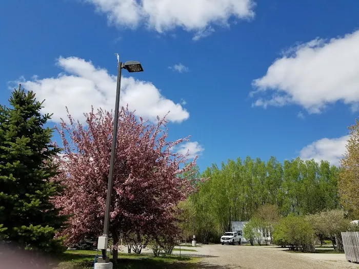 Crystal Springs RV Resort Picture 4