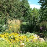 Crystal Springs RV Resort