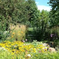 Crystal Springs RV Resort ico