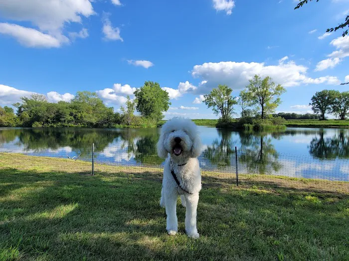 Crystal Springs RV Resort Picture 3