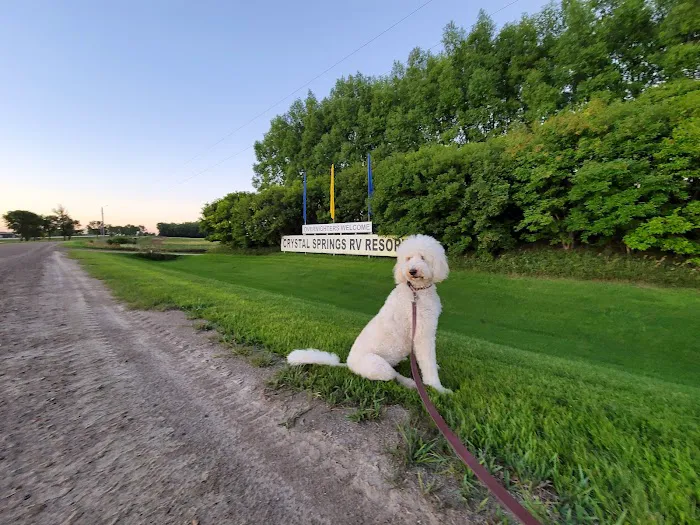 Crystal Springs RV Resort Picture 5