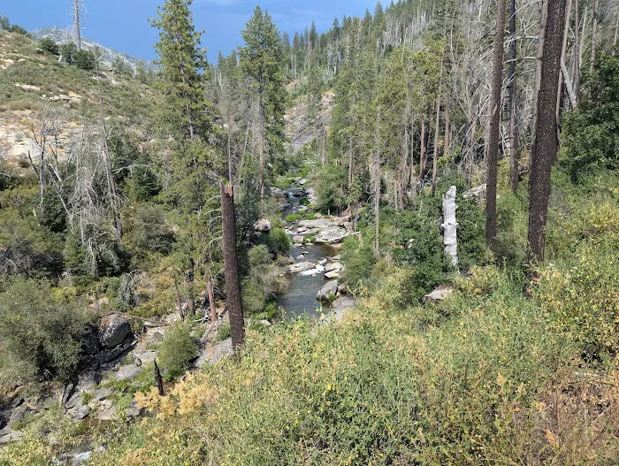 Berkeley Tuolumne Camp Picture 5