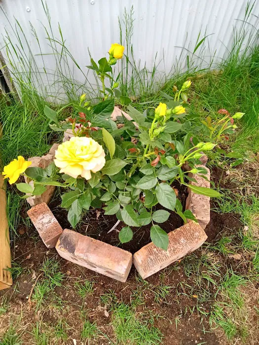 Knollwood Court Mobile Home Park Picture 10