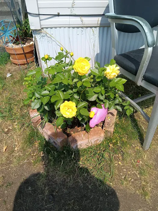 Knollwood Court Mobile Home Park Picture 2