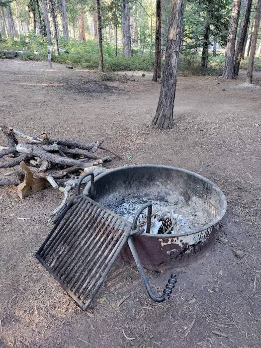 Hodgdon Meadow Campground Picture 6