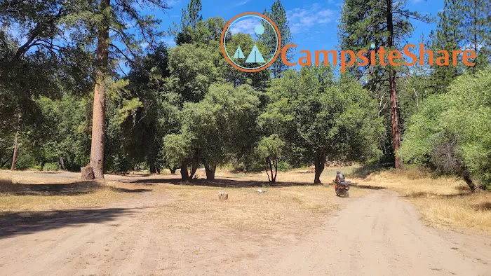 Montgomery Gultch Campground Picture 3