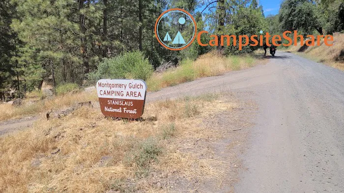 Montgomery Gultch Campground Picture 2
