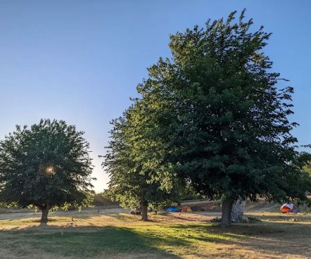 Camp McConnell Boy Scouts of America