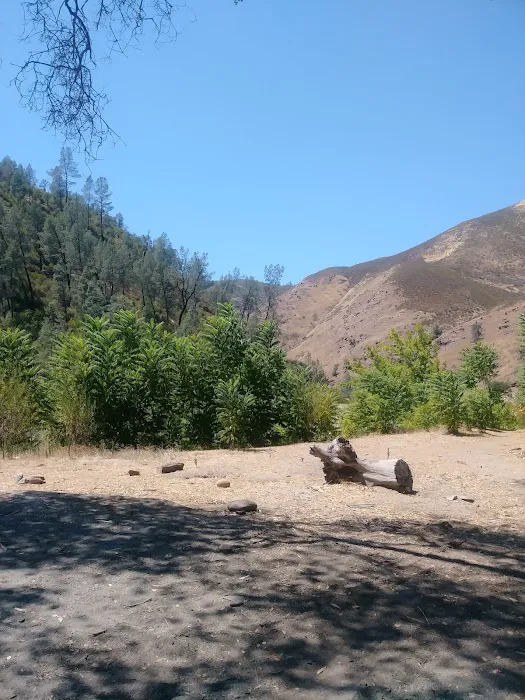 Railroad Flat Campground Picture 3