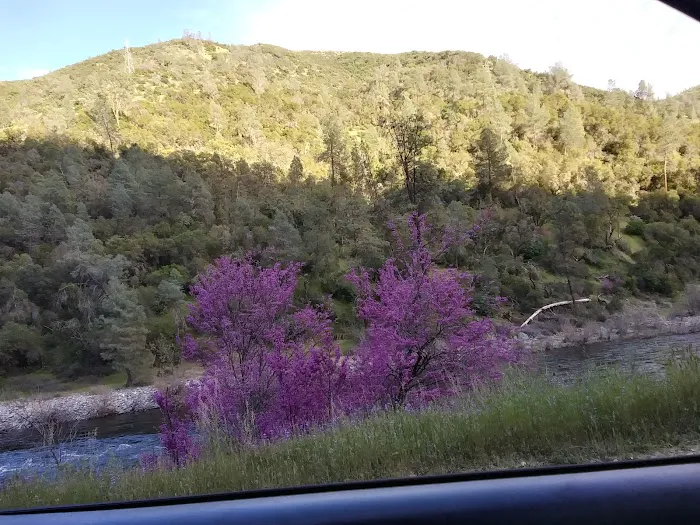 Railroad Flat Campground Picture 9