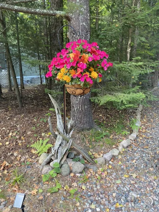 Dunham's Seasonal Mobile Home Park Picture 4