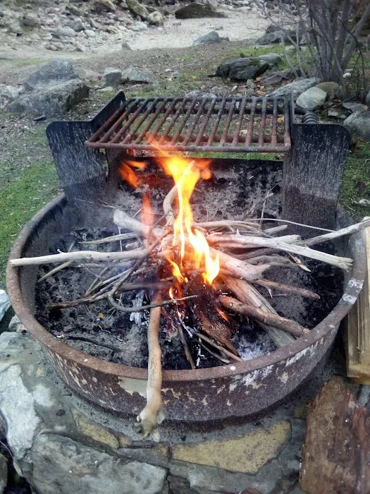 McCabe Flat Campground Picture 3
