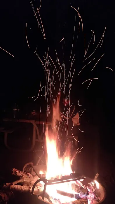 Crane Flat Campground Picture 5