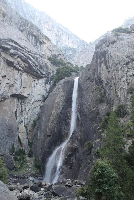 Crane Flat Campground Picture 4