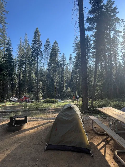 Crane Flat Campground Picture 9