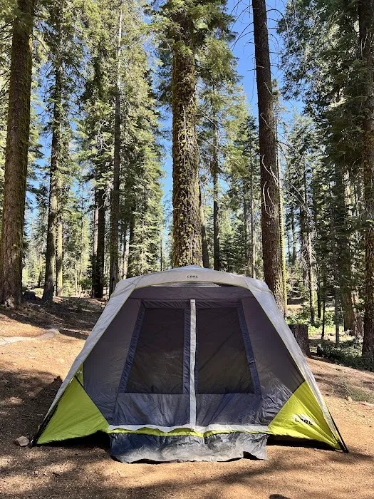 Crane Flat Campground Picture 8