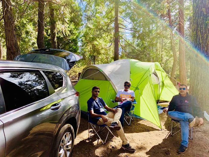 Crane Flat Campground Picture 1