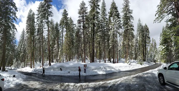 Crane Flat Campground Picture 6