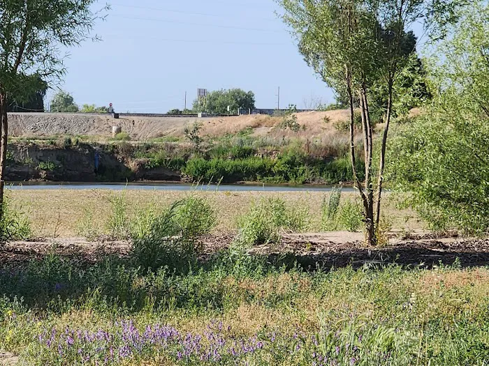 Thousand Trails Turtle Beach Picture 5