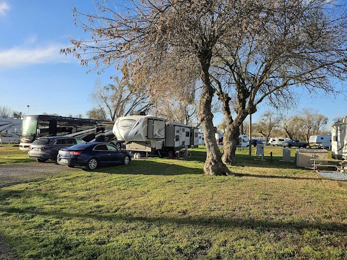 Thousand Trails Turtle Beach Picture 1