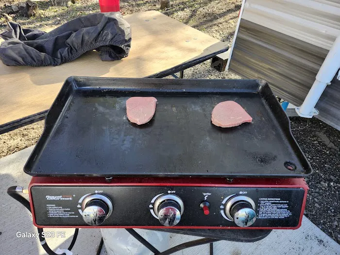 Latitudes RV Resort Picture 4