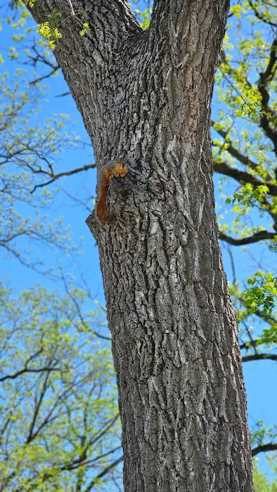 Prairie Village Mobile Home Community Picture 4