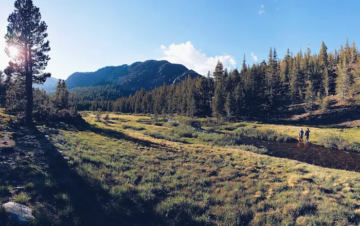 Sawmill Campground Picture 9