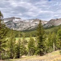 Sawmill Campground ico