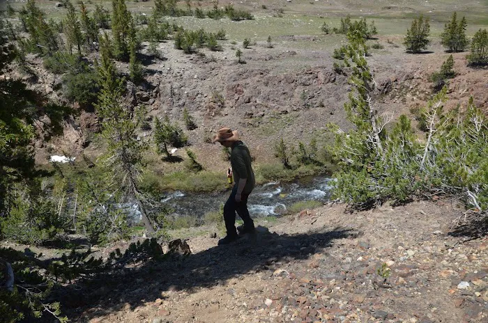 Sawmill Campground Picture 5