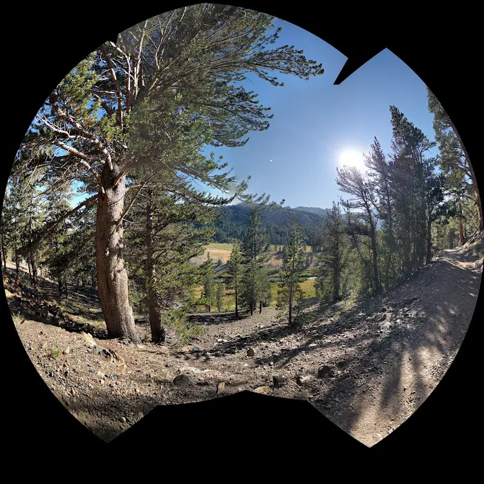 Sawmill Campground Picture 7
