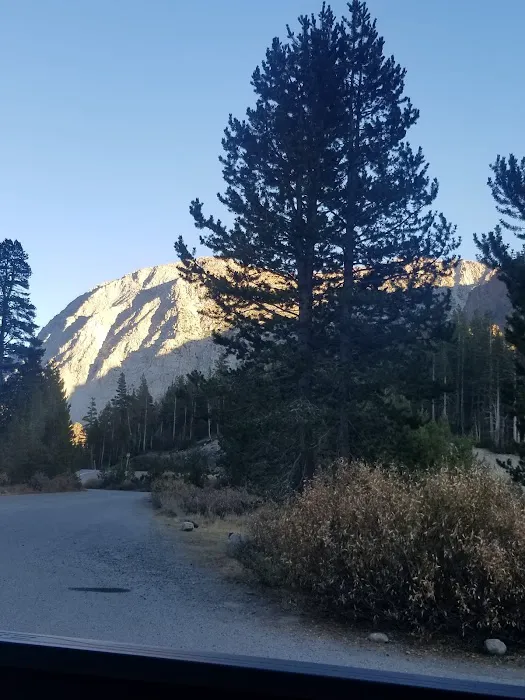 Junction Campground Picture 4