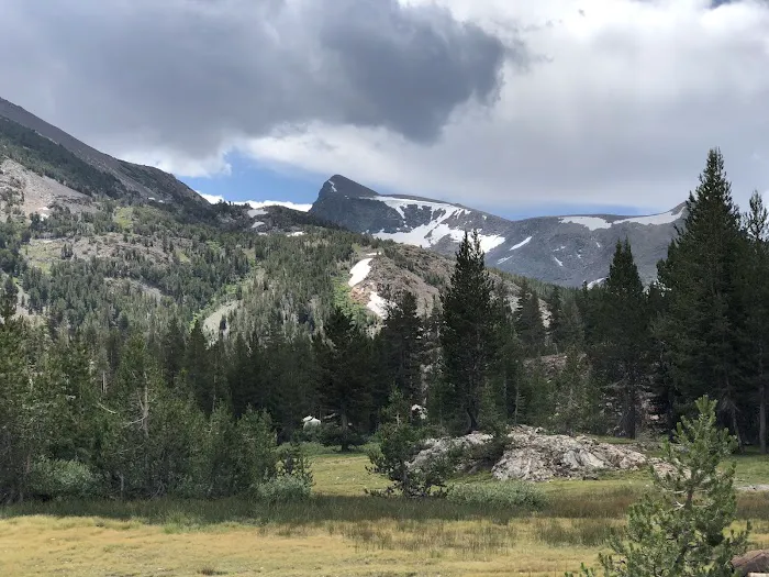 Junction Campground Picture 9