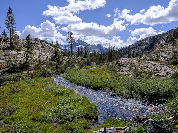 Junction Campground Picture 8