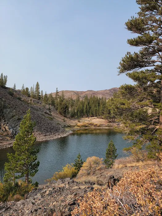 Ellery Lake Campground Picture 3