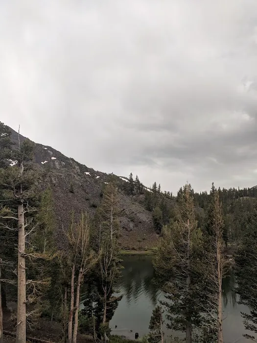Ellery Lake Campground Picture 2