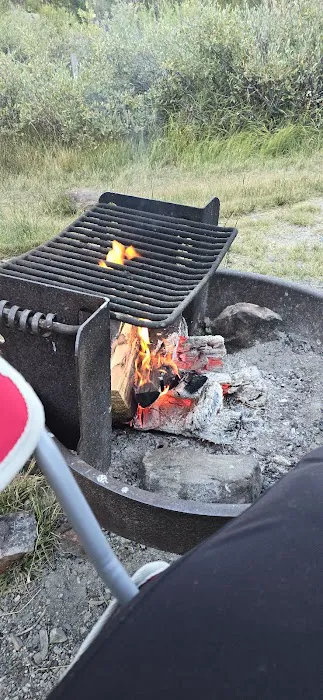 Ellery Lake Campground Picture 6