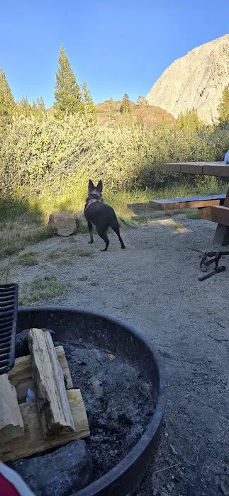 Ellery Lake Campground Picture 4